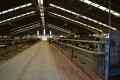 BRISTANY_800let_102