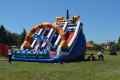 BRISTANY_800let_119