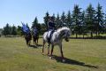 BRISTANY_800let_183