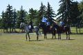 BRISTANY_800let_217