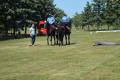 BRISTANY_800let_246