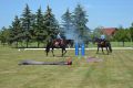 BRISTANY_800let_251