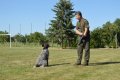 BRISTANY_800let_290