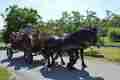 BRISTANY_800let_39