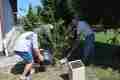 BRISTANY_800let_62