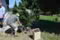 BRISTANY_800let_70