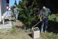 BRISTANY_800let_71