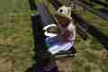 BRISTANY_800let_85