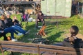 IMG_20230430_182121
