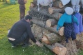 IMG_20230430_192611