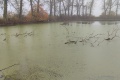 IMG_20221023_092002