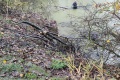 IMG_20221023_094910