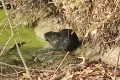 IMG_20221023_113451