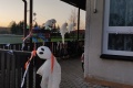 IMG_20221105_164013