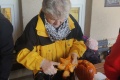 IMG_20231104_163317