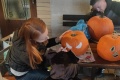 IMG_20231104_164703