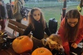 IMG_20231104_164725