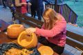 IMG_20251101_163956-1