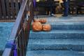 IMG_20251101_164119-1