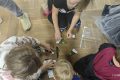 IMG_20251101_175145-1