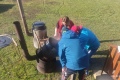 IMG_20260228_095958
