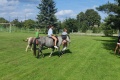 IMG_20230826_153333
