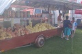 IMG_20240831_155636