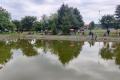 IMG_20220705_102743