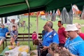 IMG_20220705_112908
