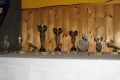 img00019
