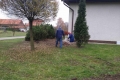 IMG_20141110_102629