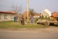 img00007
