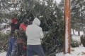 IMG_20231202_090615