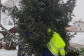 IMG_20231202_090634
