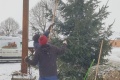IMG_20231202_092751