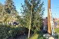 20241130_091729