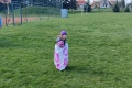 IMG_20220415_161038