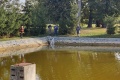 IMG_20211002_091011