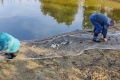 IMG_20211002_094253