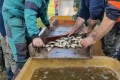 IMG_20211002_094739