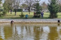 IMG_20211002_110524