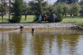 IMG_20211002_110749