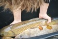 IMG_20251109_102328-1