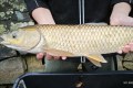 IMG_20251109_102330-1