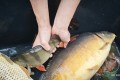 IMG_20251109_102426-1