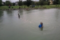 img00010