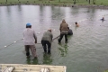 img00022