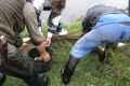 img00028