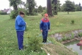 img00040