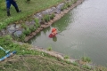 img00041